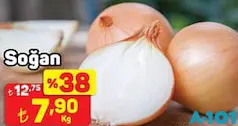 SOĞAN KG SOĞAN KG